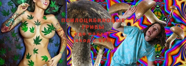 винт Аркадак