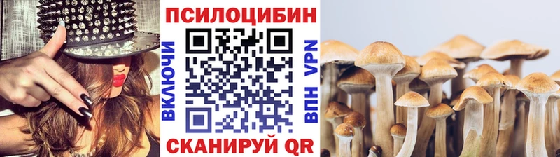 Псилоцибиновые грибы мицелий  OMG tor  Фрязино  где купить  